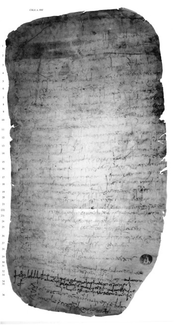 Chartae Latinae Antiquiores n. 844
