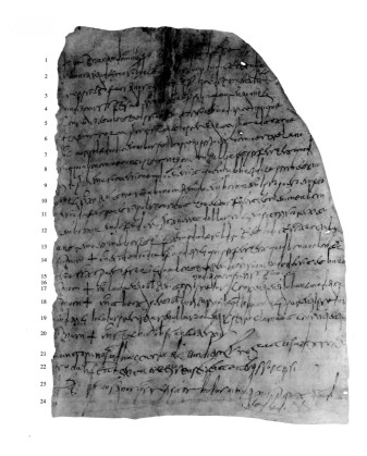 Chartae Latinae Antiquiores n. 845