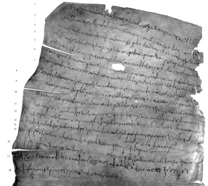 Chartae Latinae Antiquiores n. 848