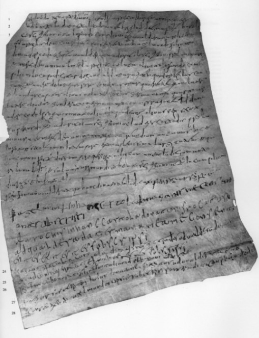 Chartae Latinae Antiquiores n. 849