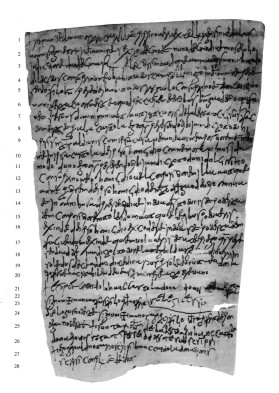 Chartae Latinae Antiquiores n. 856