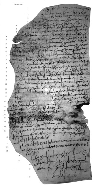 Chartae Latinae Antiquiores n. 858