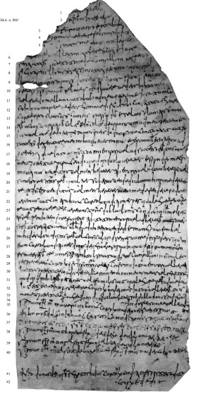 Chartae Latinae Antiquiores n. 860